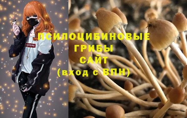 эйфоретик Белоозёрский