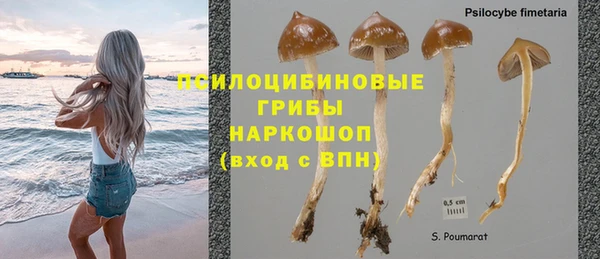герыч Белокуриха